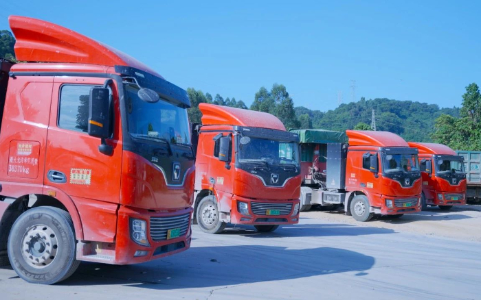 零碳先鋒 | 百臺(tái)徐工新能源助力福建客戶成功創(chuàng)富！