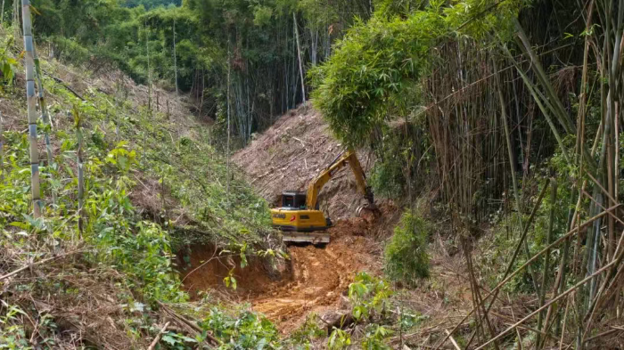 林間“藏龍”，竹海“臥虎”——徐工林業(yè)挖機(jī)廣西俠客行